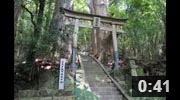 熊野古道のパワースポット神社　継桜王子社　中辺路・野中